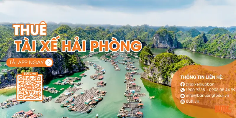 thuê tài xế hải phòng