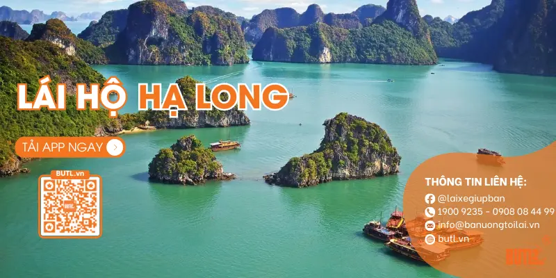 Lái xe hộ Hạ Long
