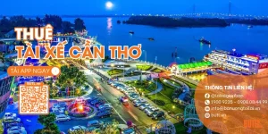 Thuê tài xế cần thơ