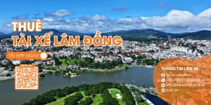 Thuê tài xế Lâm Đồng