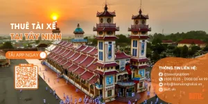 thuê tài xế tây ninh