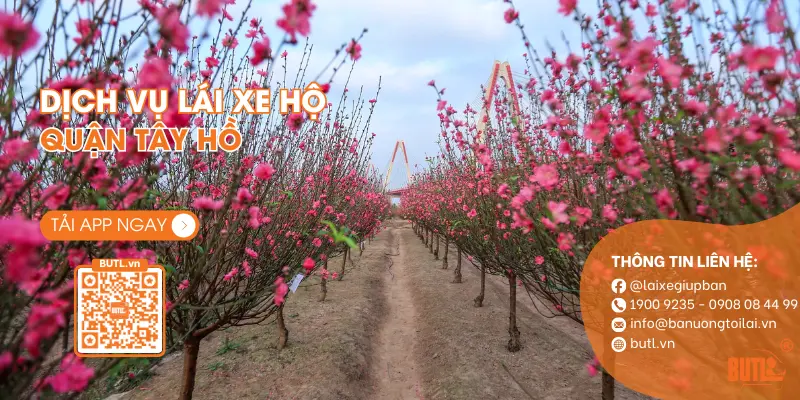 Làng đào Nhật Tân