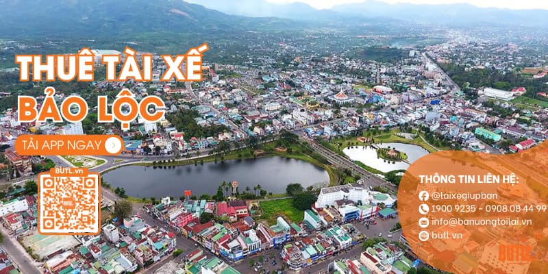 Thuê tài xế tại Bảo Lộc