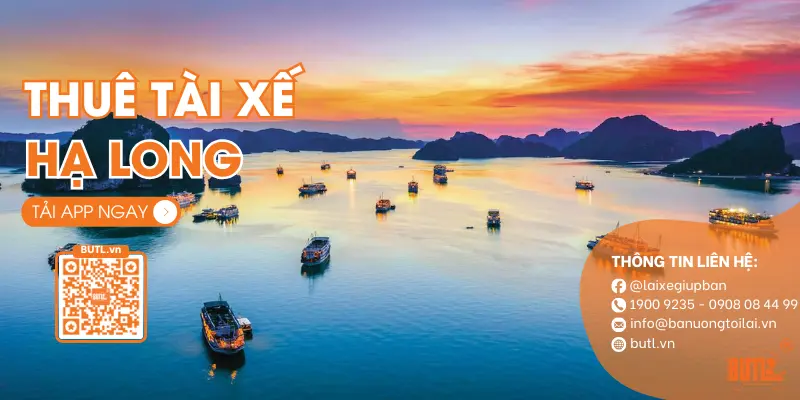 Thuê tài xế hạ long