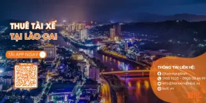Thuê tài xế Lào Cai