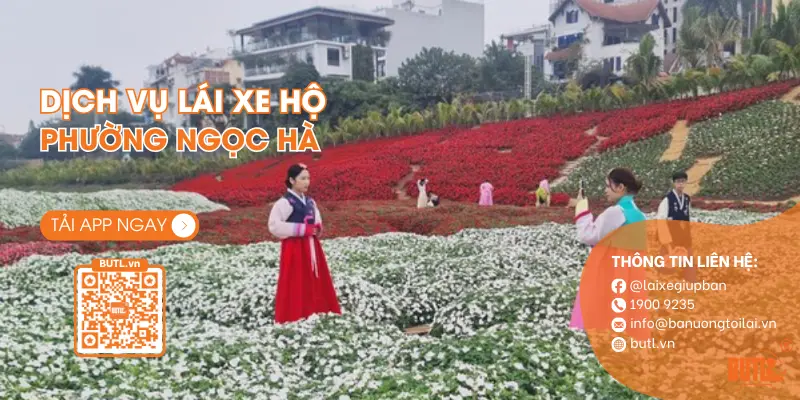 Làng hoa Ngọc Hà: nổi tiếng từ lâu đời, từng là nguồn cung cấp hoa chính cho Thủ đô