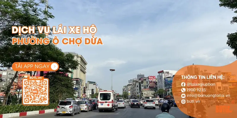 Lái xe hộ Phường Ô Chợ Dừa