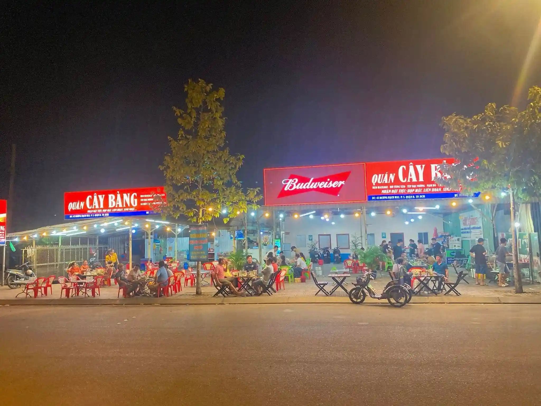 Cây Bàng
