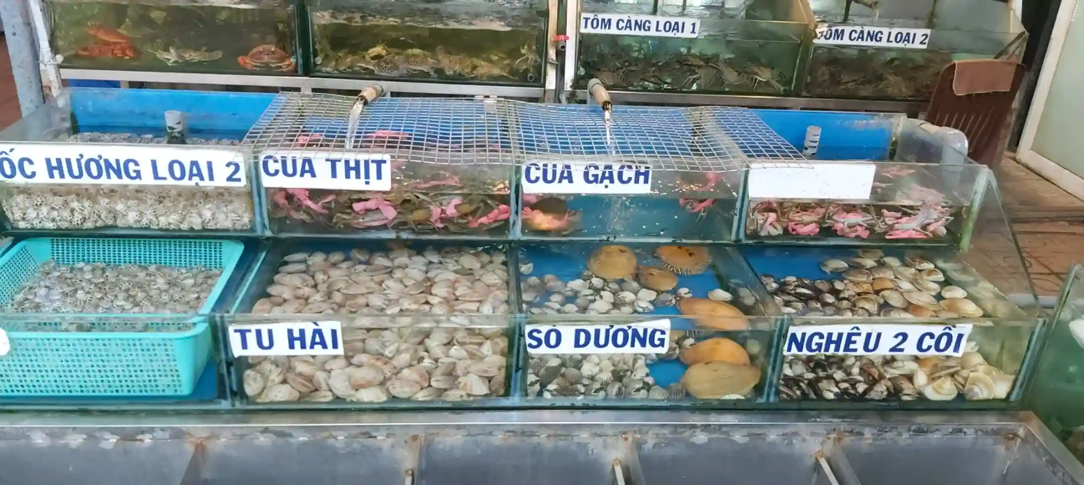 Nhà Hàng Hải Thành – Thiên Đường Hải Sản Cho Dân Sành Ăn