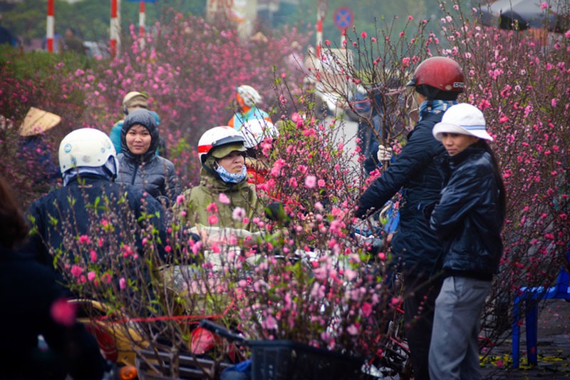 hội hoa xuân mùa đào ở chợ Tết miền Bắc