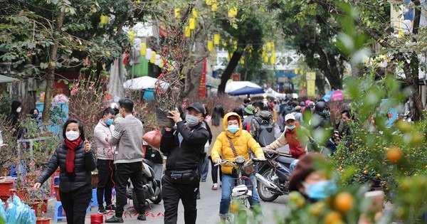 Người dân mua Đào về nhà trưng Tết