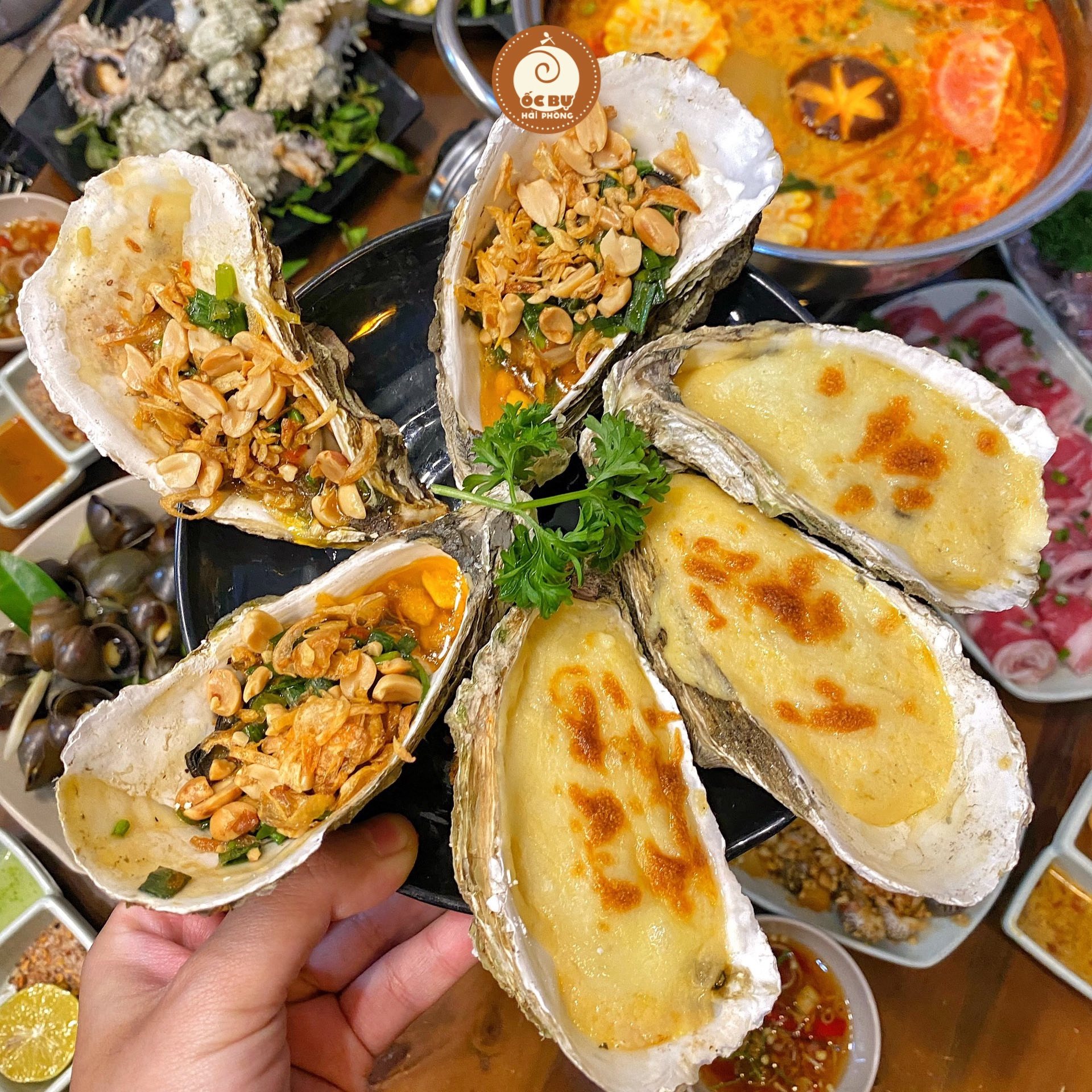 Ốc Bự Hải Phòng – Quán ốc ngon Hà Nội khu Chùa Láng