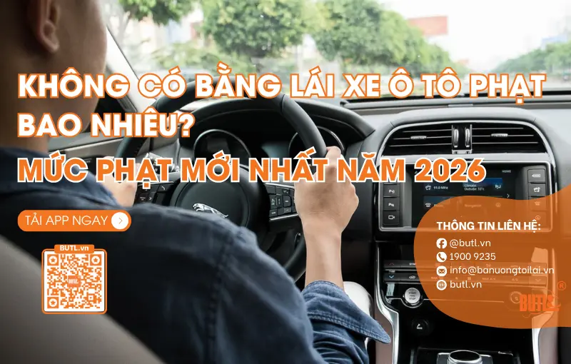 Không có bằng lá xe ô tô phạt bao nhiêu tiền